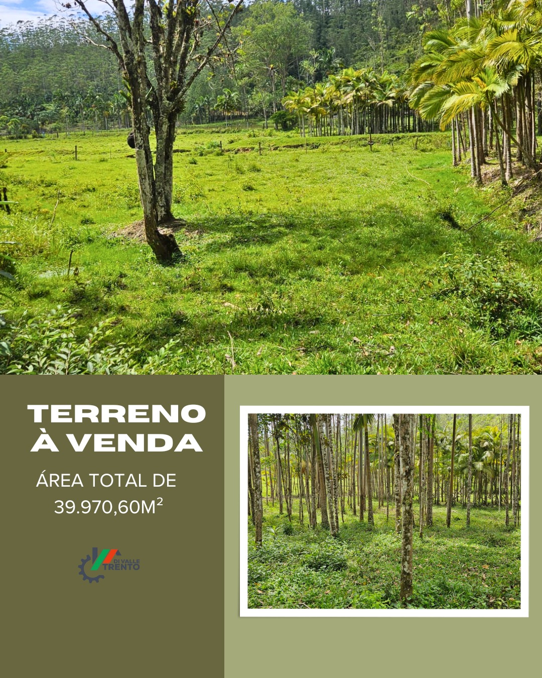 WhatsApp Image 2026-01-19 at 11.00.50.jpeg