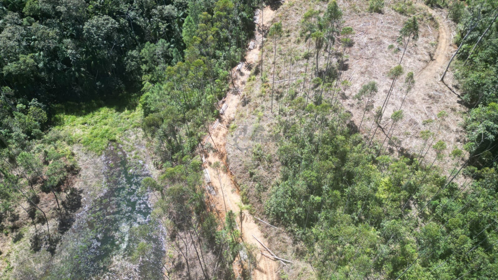 WhatsApp Image 2026-01-19 at 10.51.38 (3).jpeg