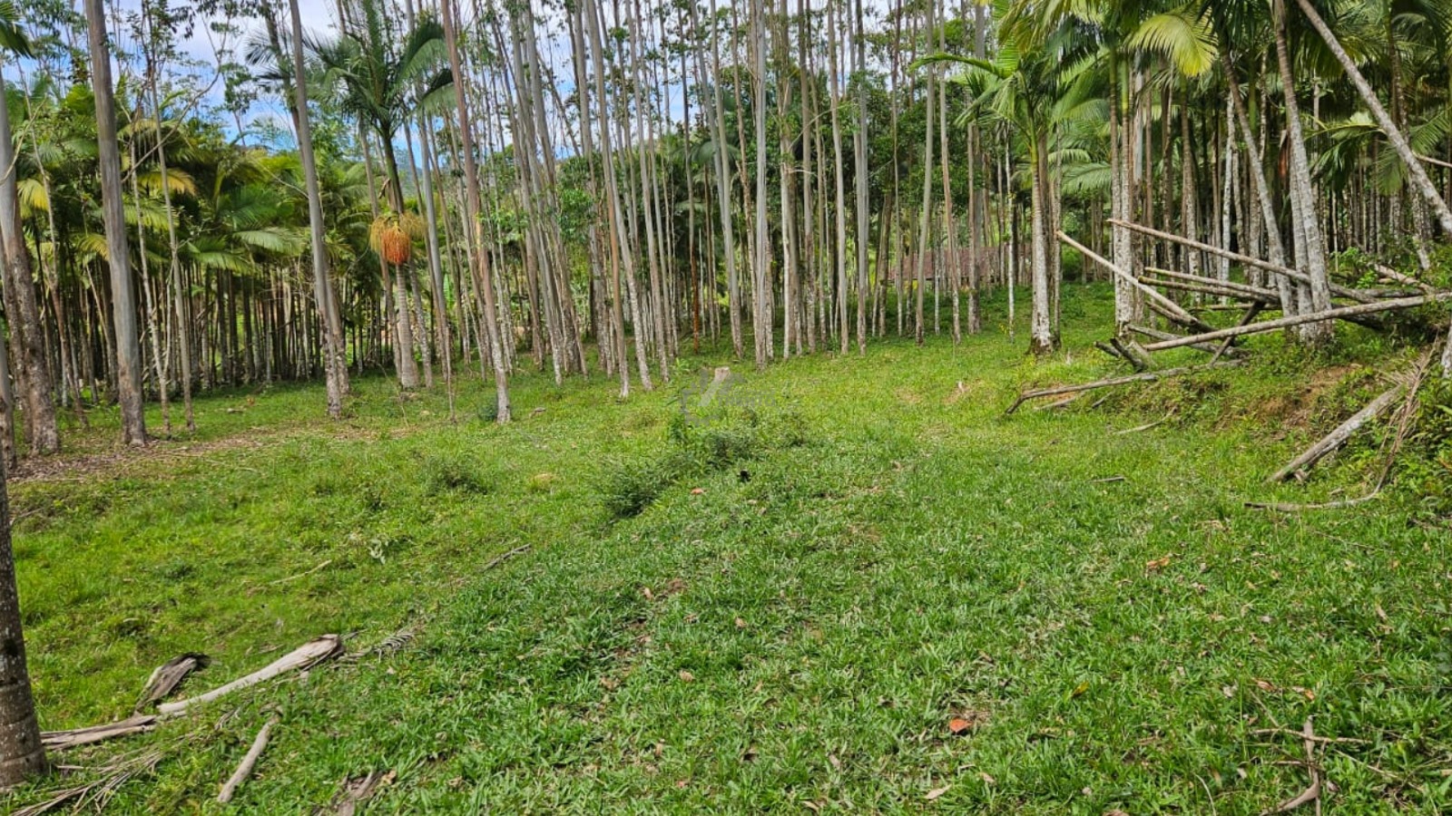 WhatsApp Image 2026-01-19 at 11.00.52 (4).jpeg