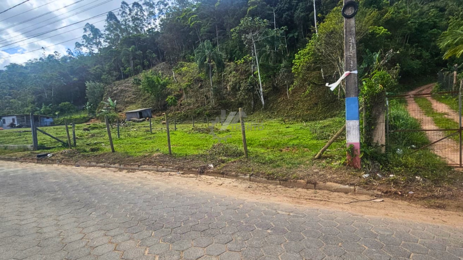 WhatsApp Image 2026-01-19 at 11.05.16 (2).jpeg