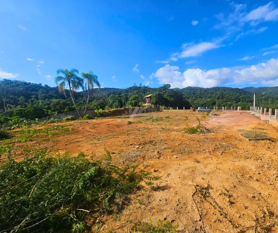 WhatsApp Image 2026-01-19 at 11.05.31 (2).jpeg