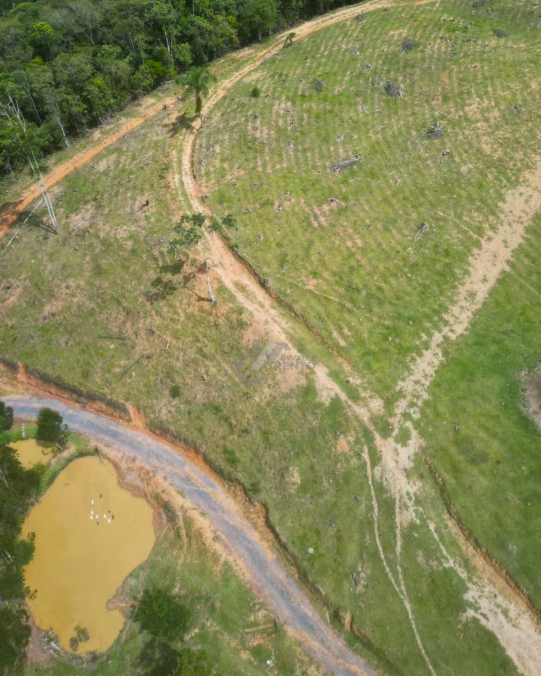 WhatsApp Image 2026-01-19 at 10.52.22 (3).jpeg