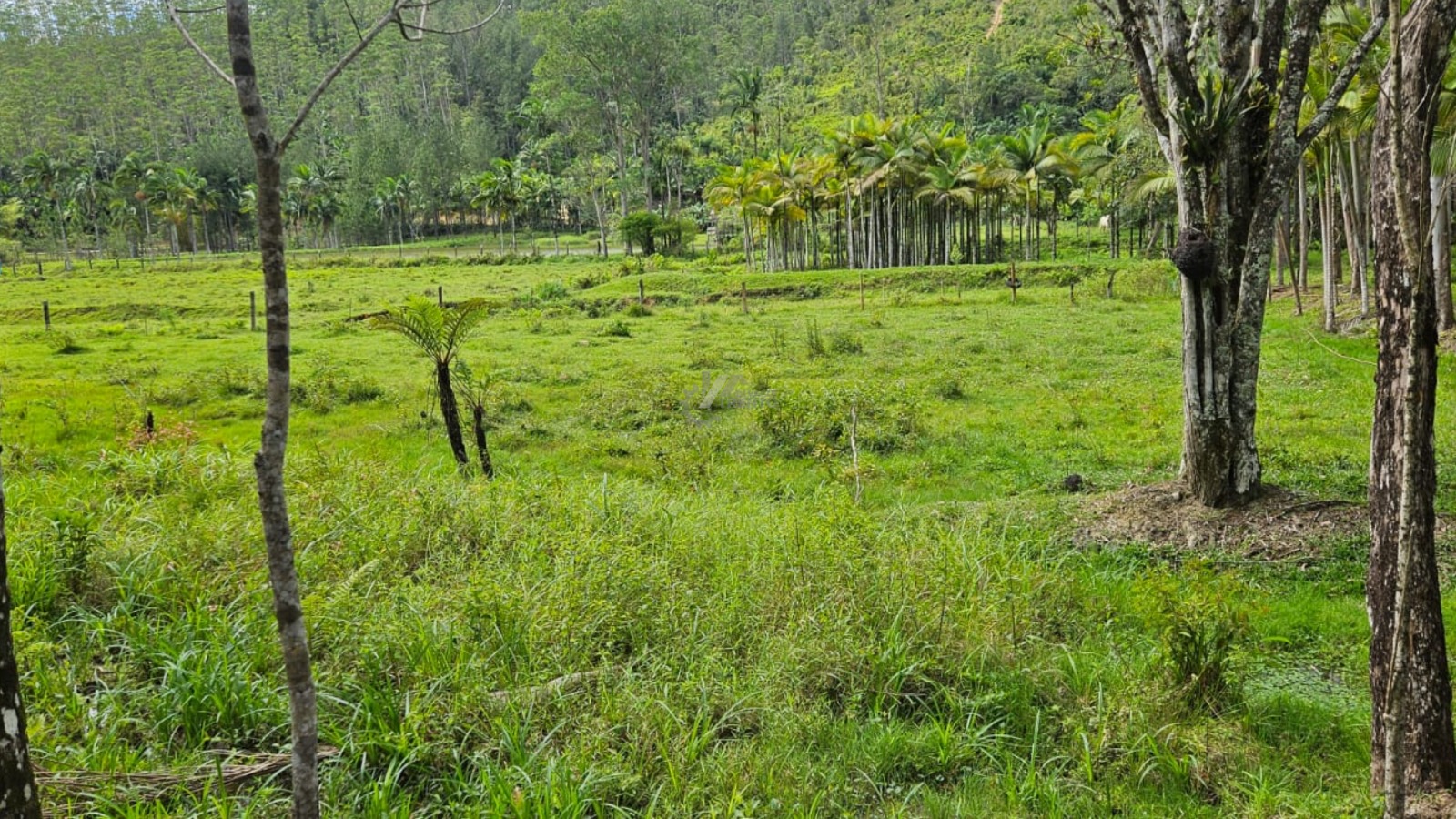 WhatsApp Image 2026-01-19 at 11.00.52 (2).jpeg