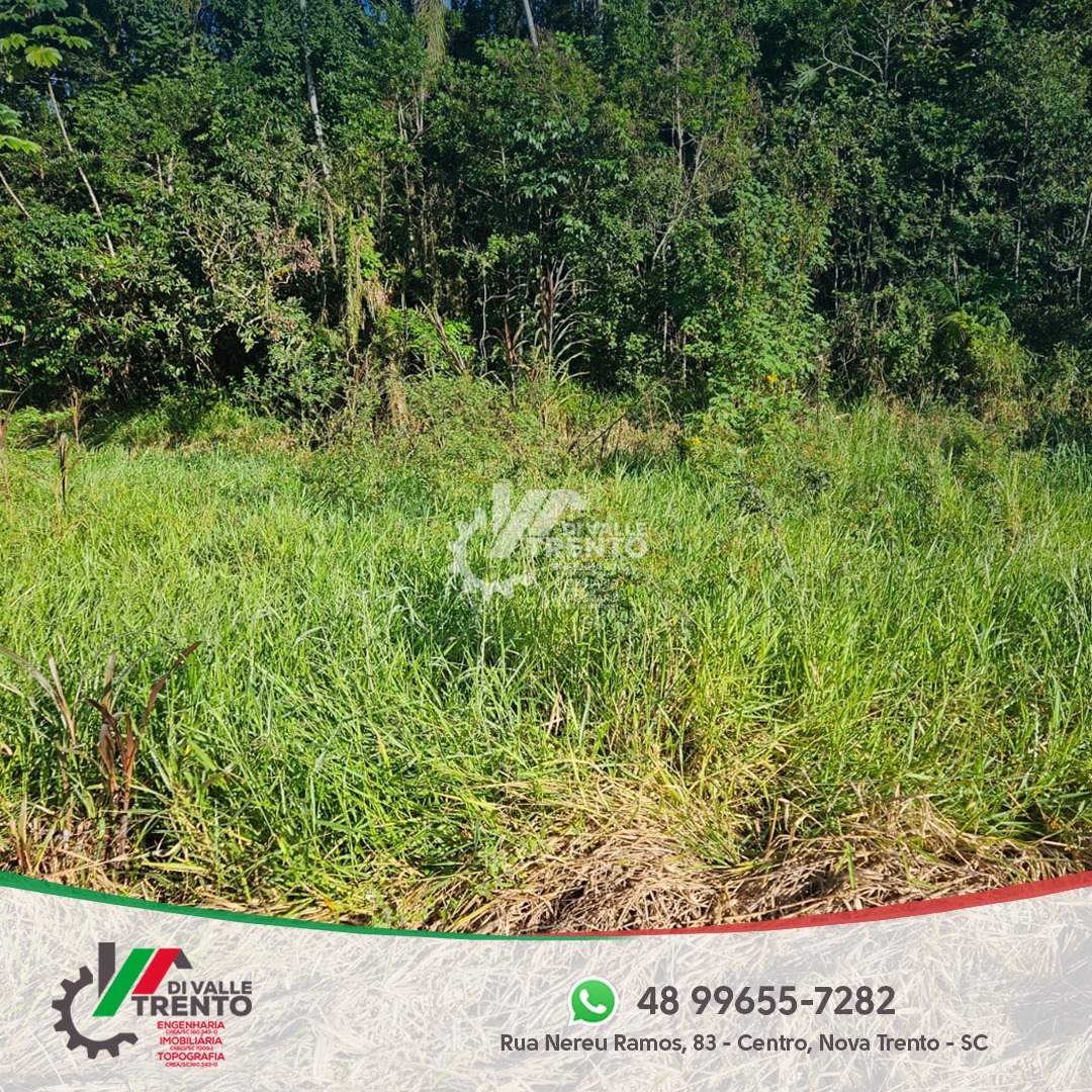 WhatsApp Image 2024-07-11 at 13.32.15.jpeg