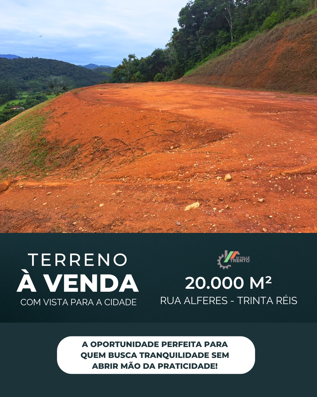 WhatsApp Image 2026-01-19 at 11.00.24.jpeg