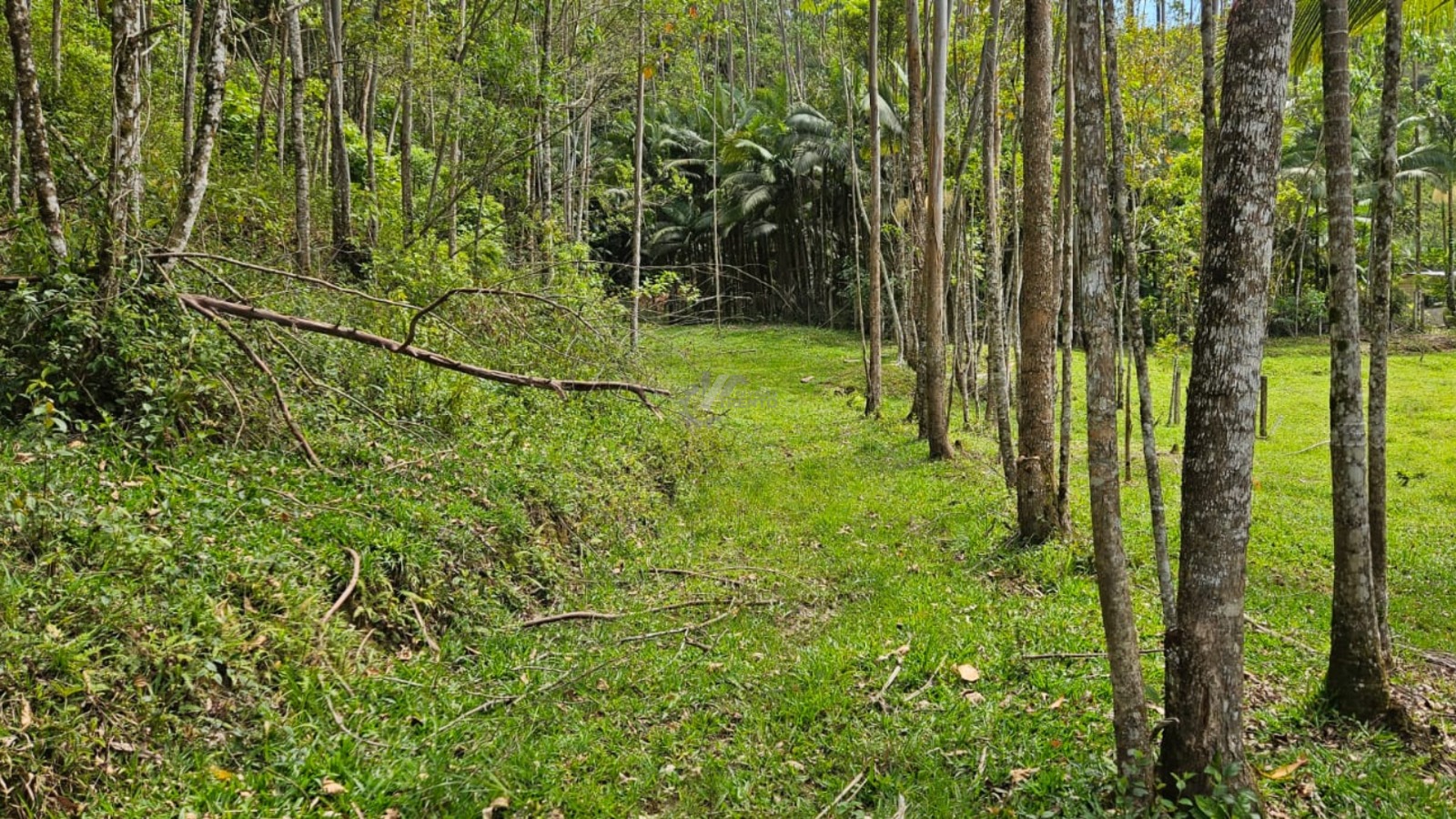 WhatsApp Image 2026-01-19 at 11.00.52 (3).jpeg