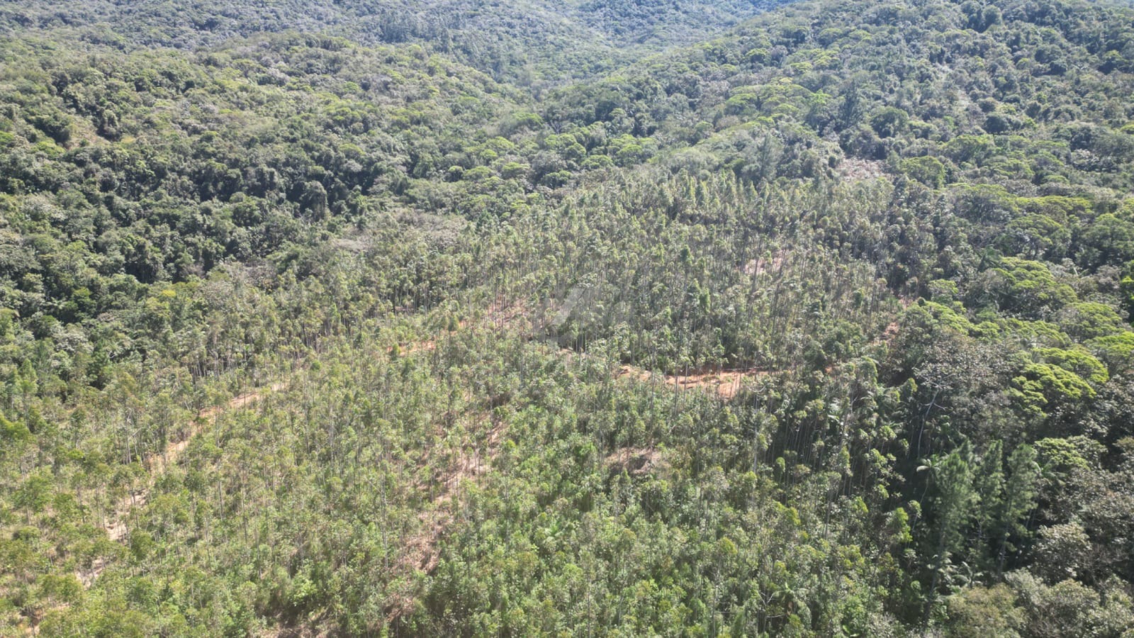 WhatsApp Image 2026-01-19 at 10.51.37.jpeg