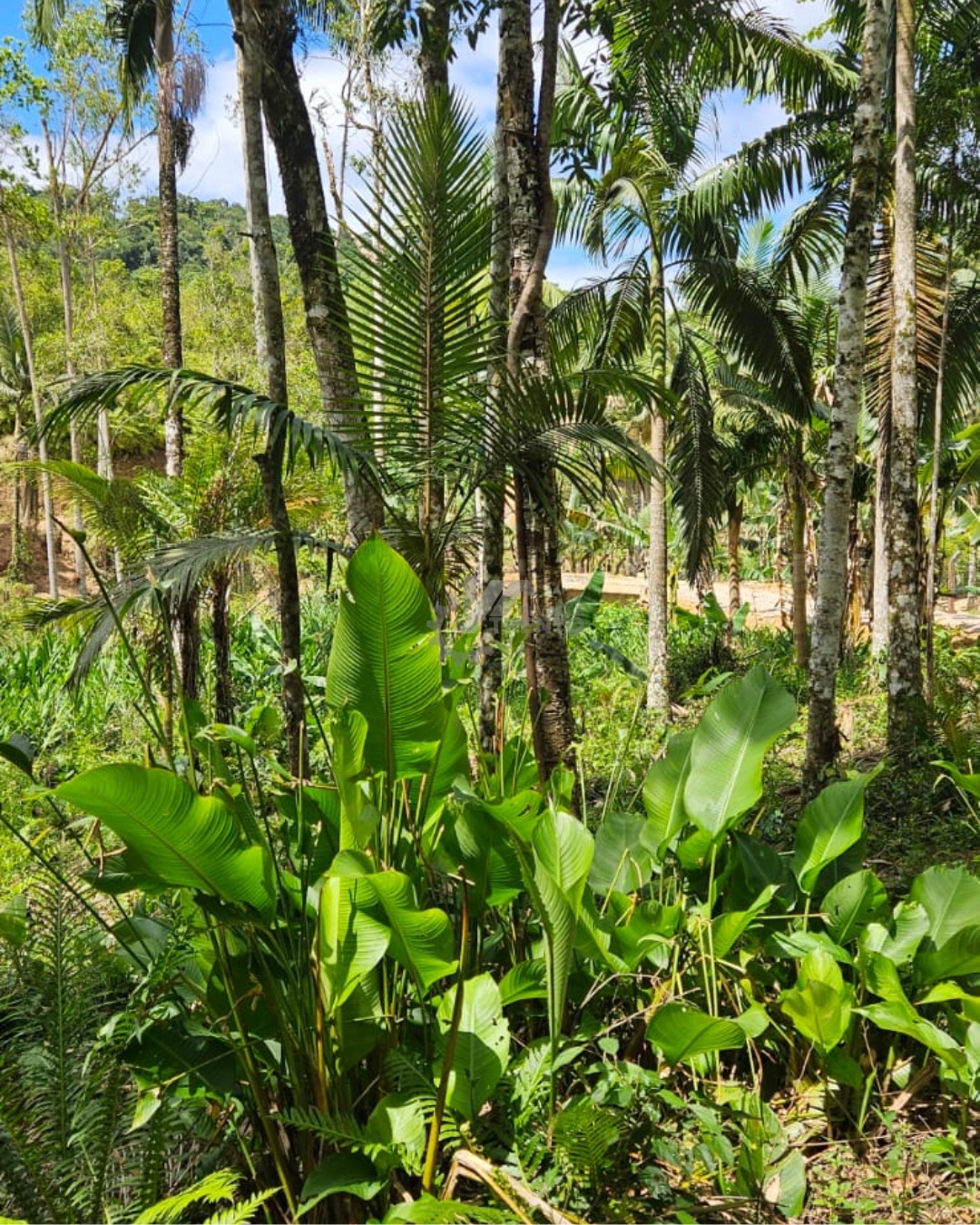 WhatsApp Image 2026-01-19 at 11.00.51.jpeg