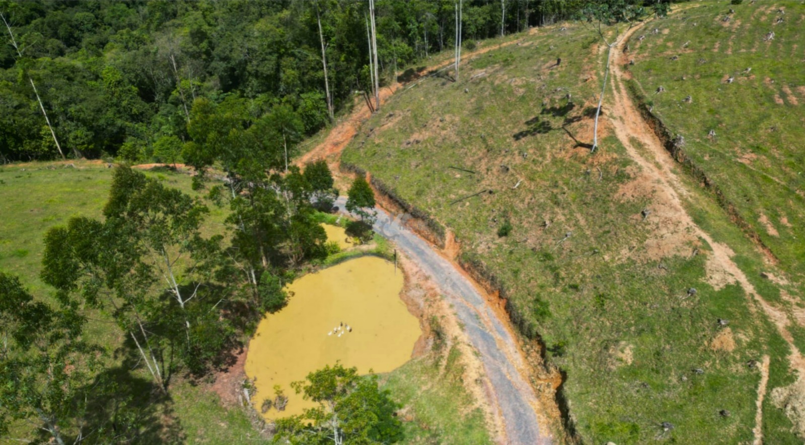 WhatsApp Image 2026-01-19 at 10.52.23 (1).jpeg