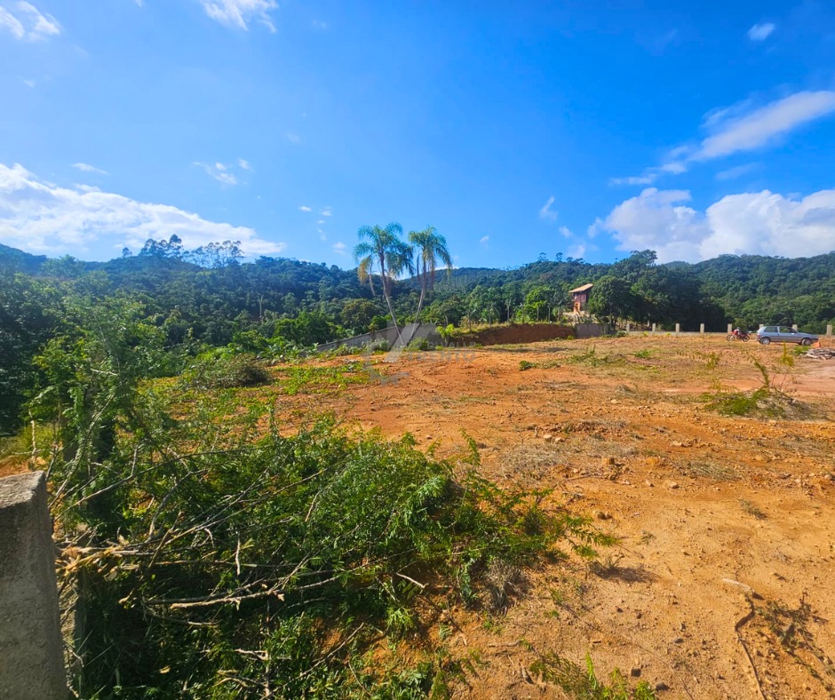 WhatsApp Image 2026-01-19 at 11.05.31.jpeg