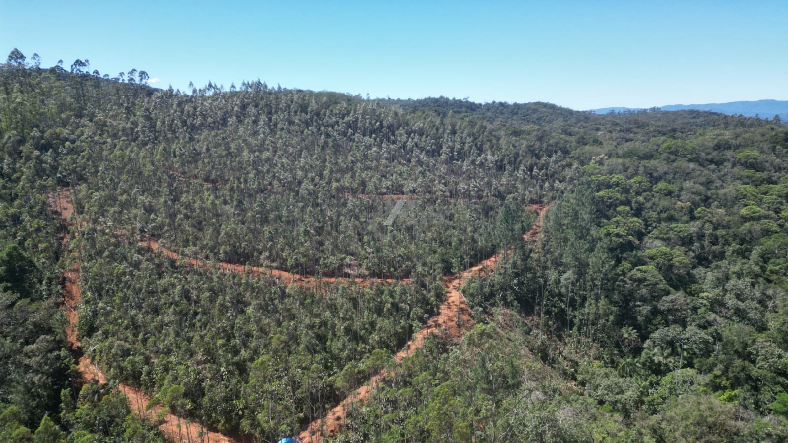 WhatsApp Image 2026-01-19 at 10.51.37 (2).jpeg