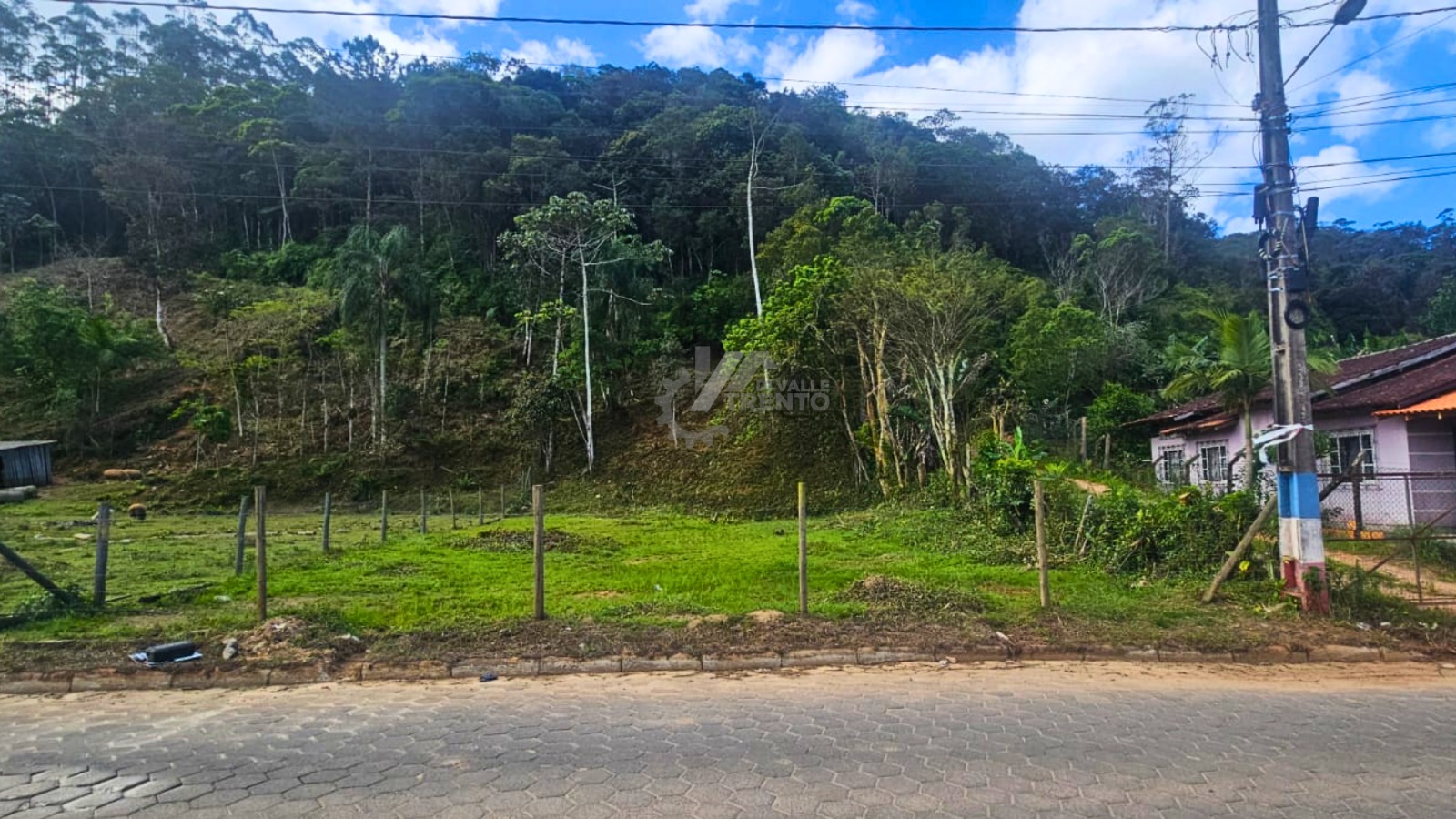 WhatsApp Image 2026-01-19 at 11.05.16.jpeg