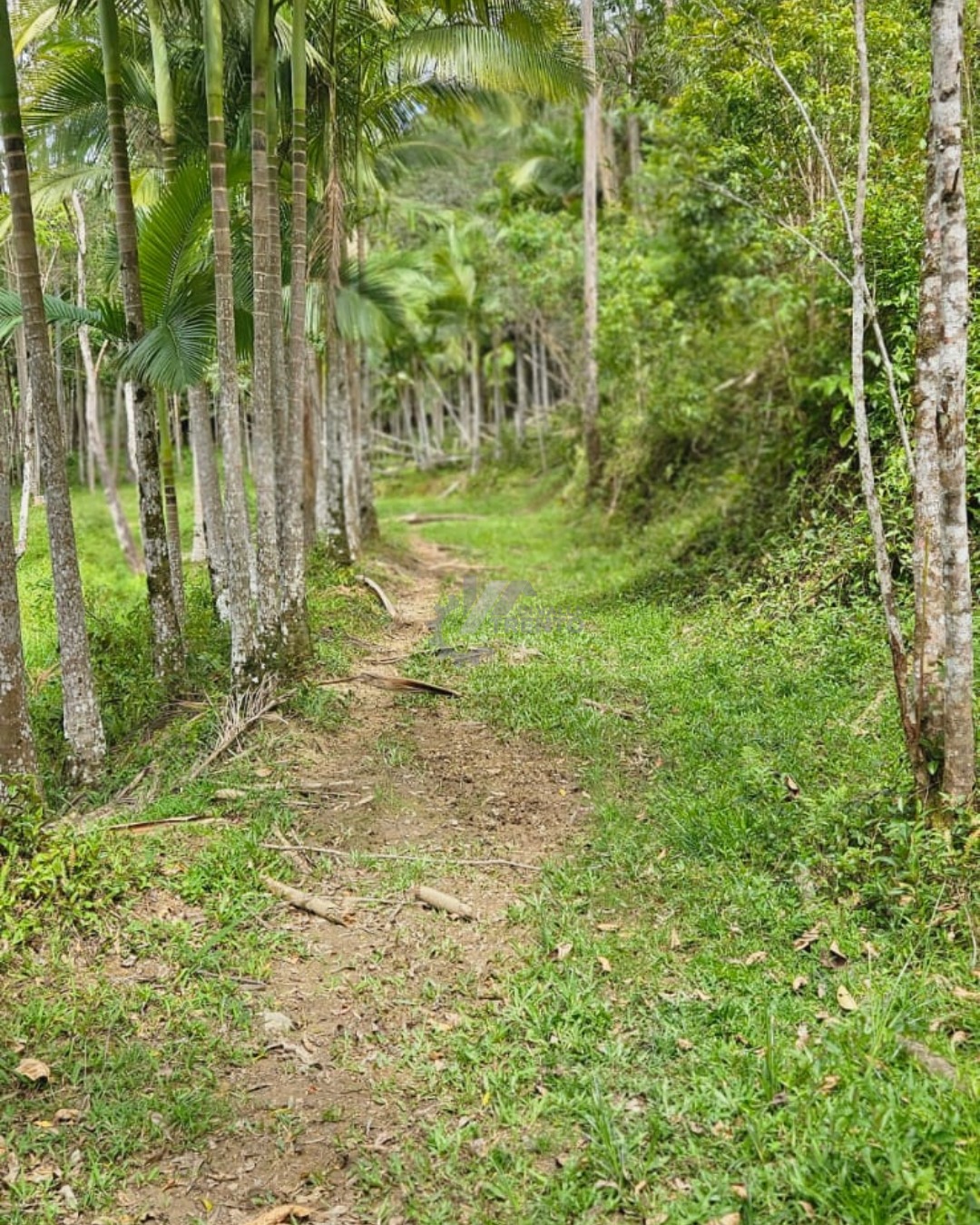 WhatsApp Image 2026-01-19 at 11.00.51 (1).jpeg