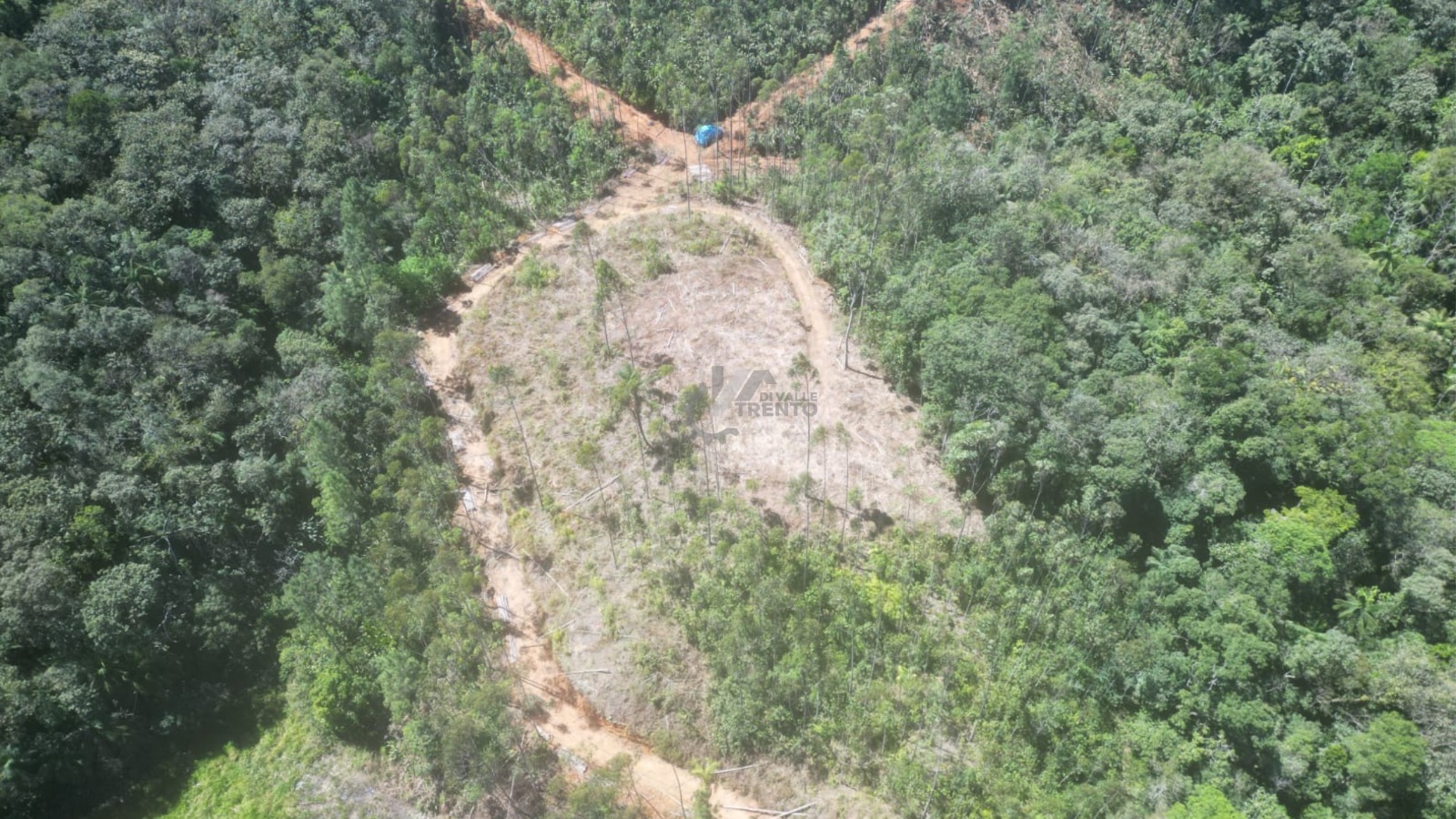 WhatsApp Image 2026-01-19 at 10.51.38 (1).jpeg