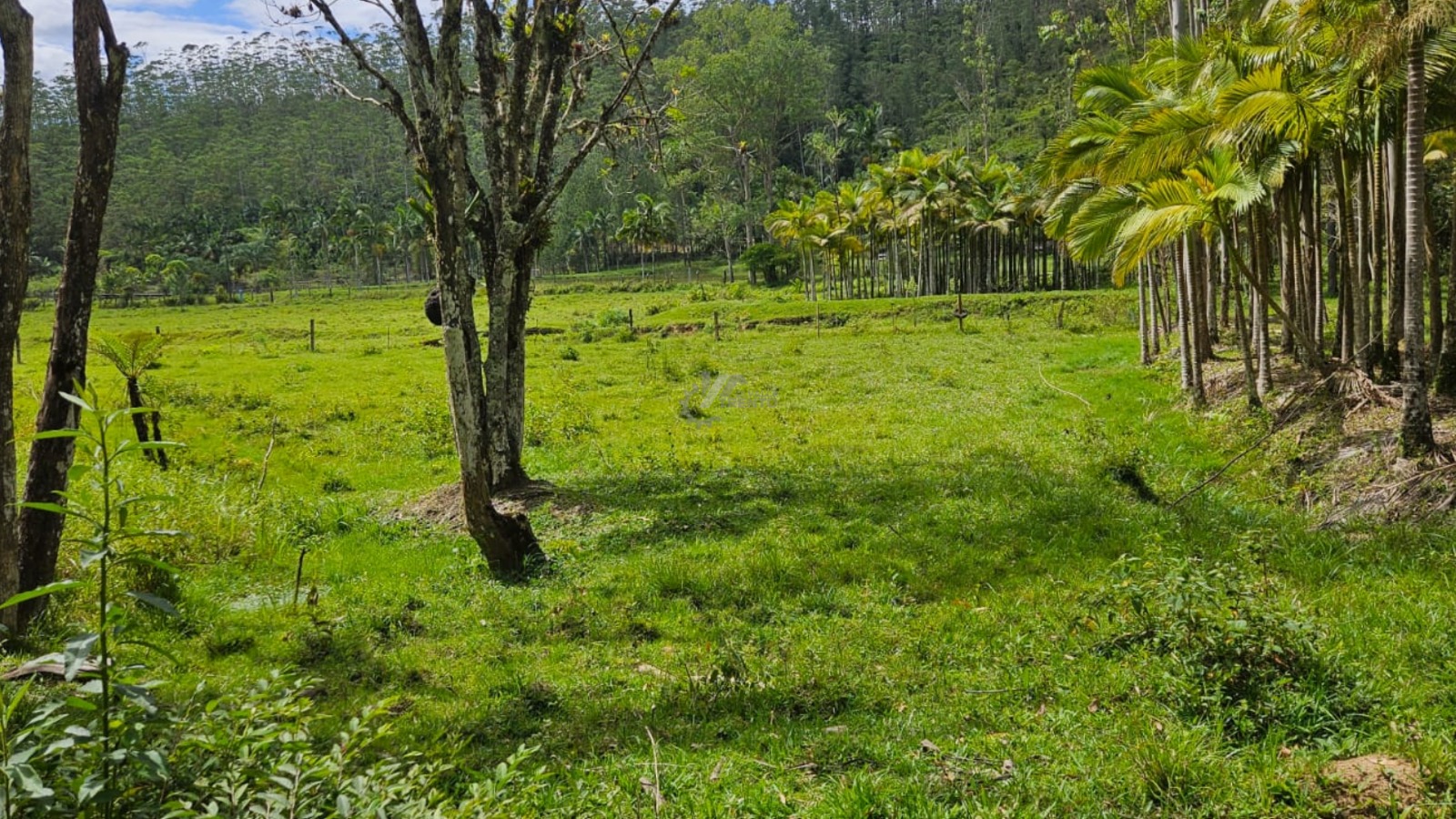 WhatsApp Image 2026-01-19 at 11.00.52 (1).jpeg