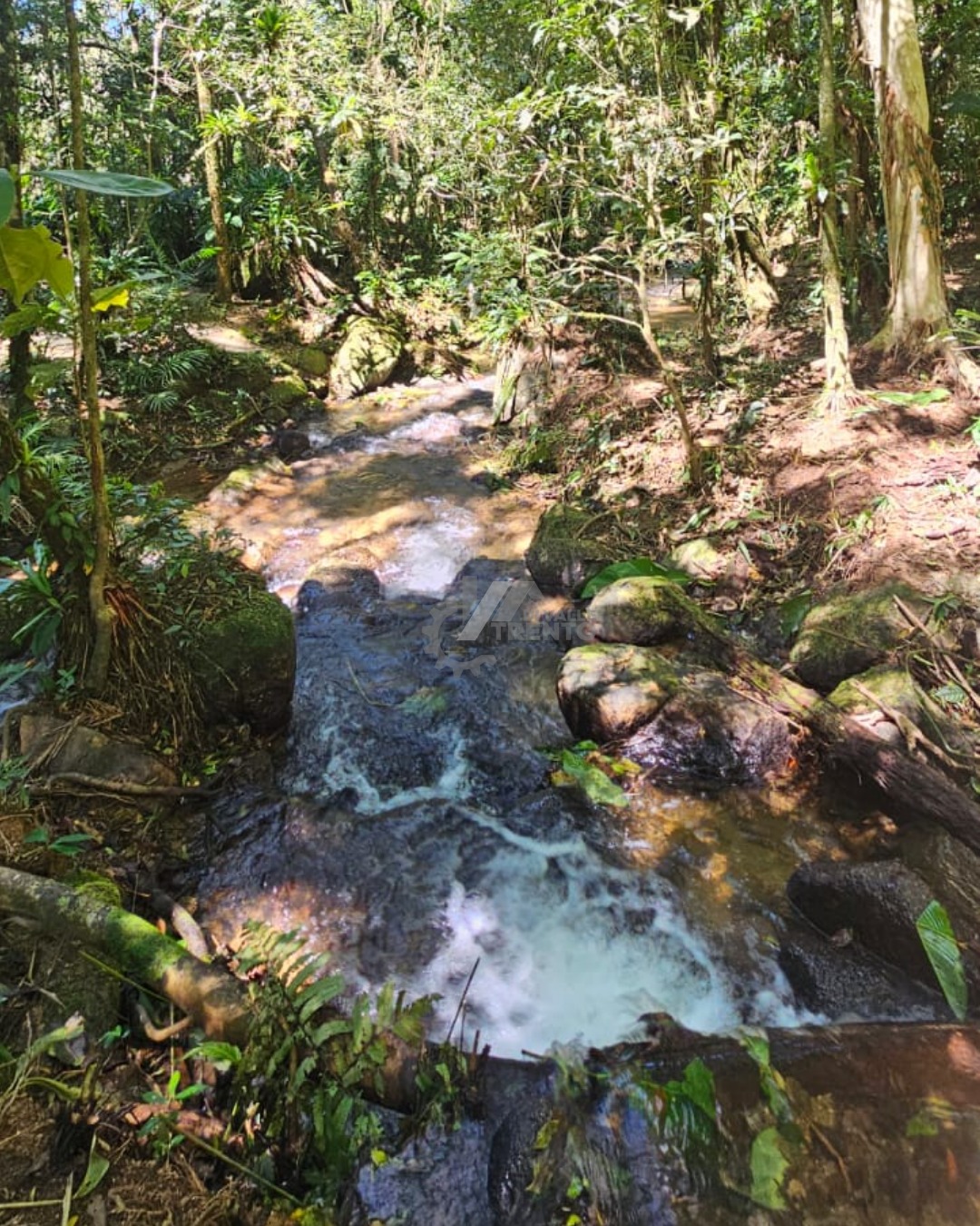 WhatsApp Image 2026-01-19 at 10.51.36 (3).jpeg