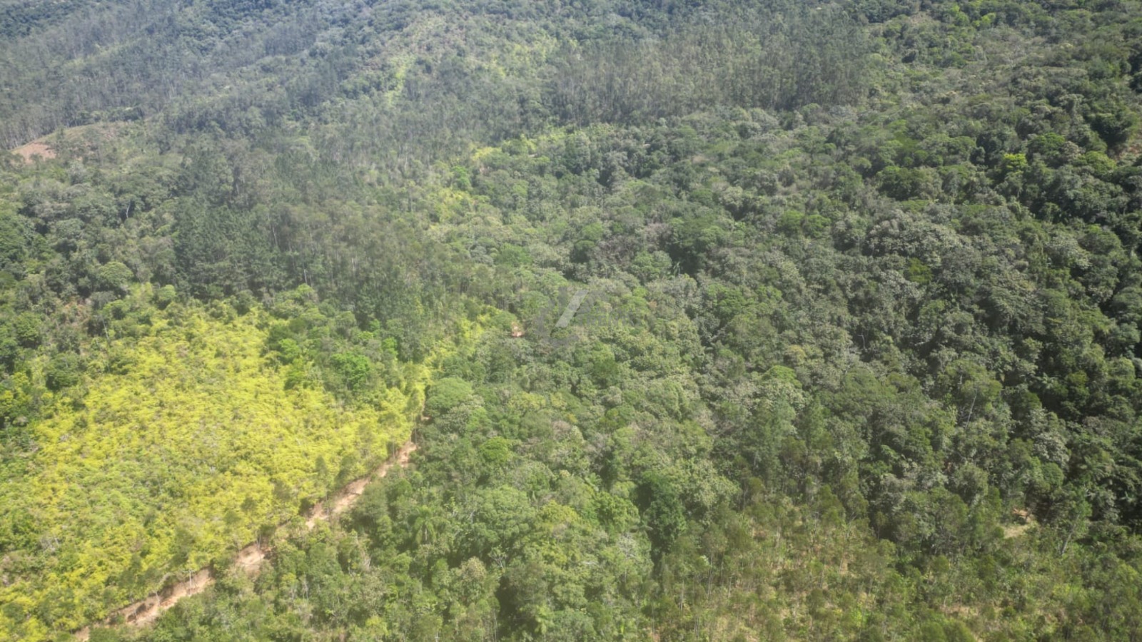 WhatsApp Image 2026-01-19 at 10.51.38 (2).jpeg