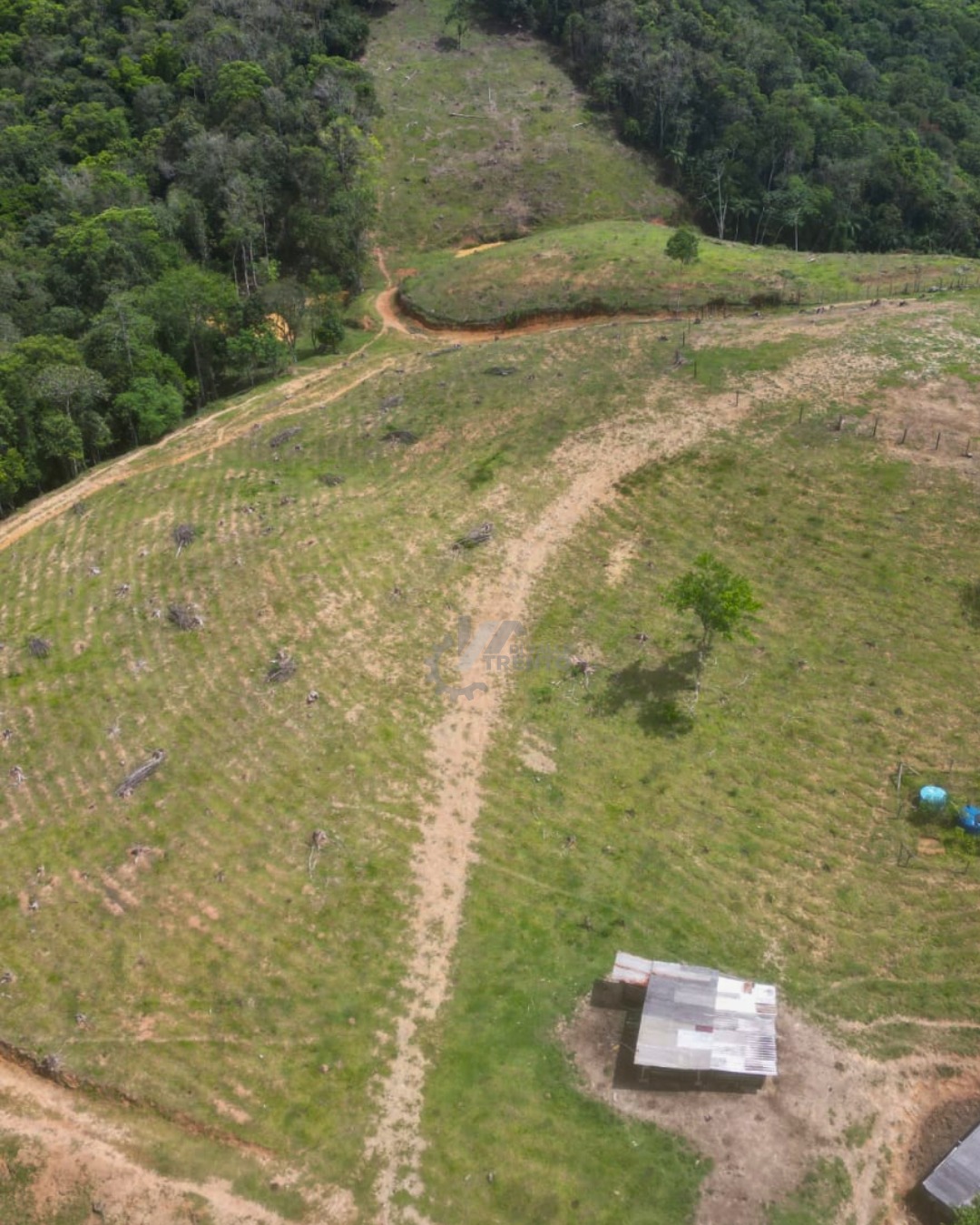 WhatsApp Image 2026-01-19 at 10.52.21.jpeg