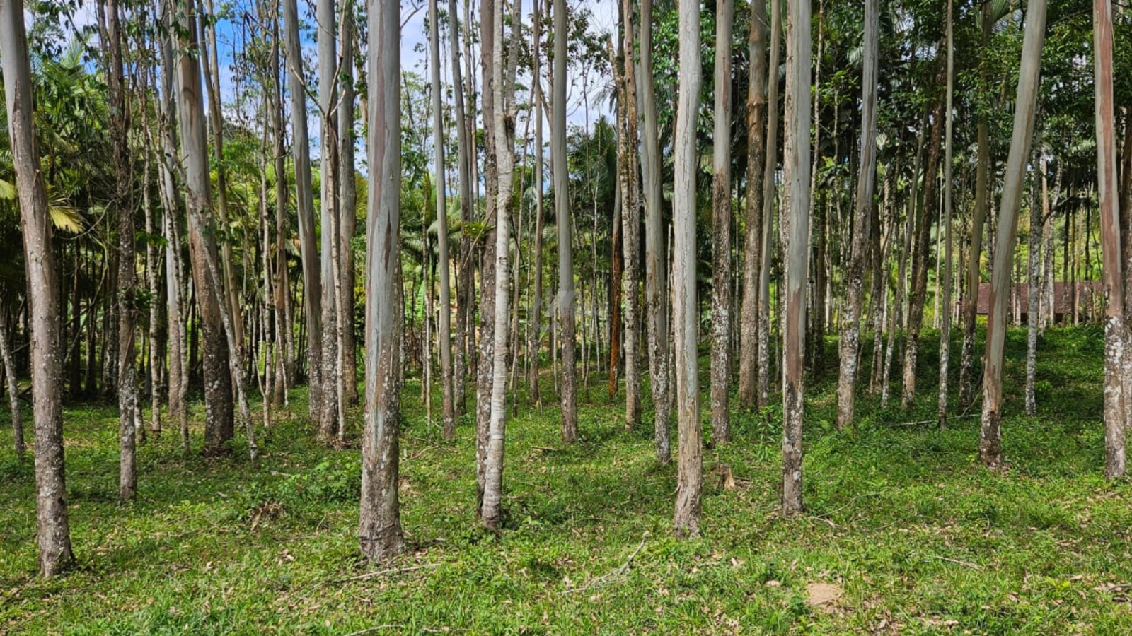 WhatsApp Image 2026-01-19 at 11.00.52.jpeg