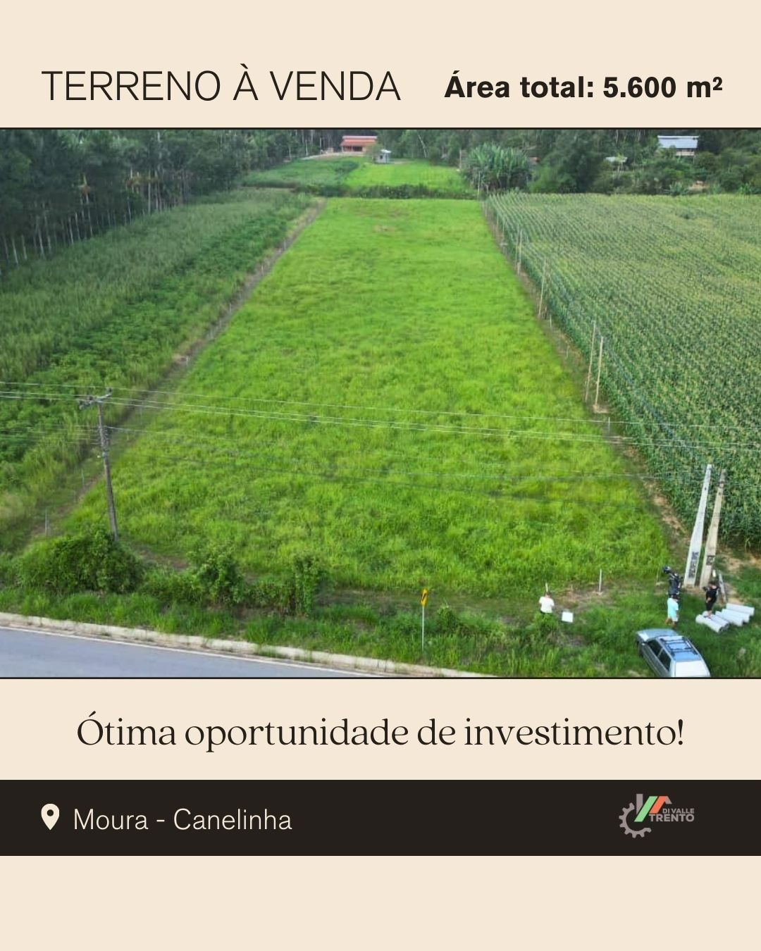 WhatsApp Image 2026-01-19 at 10.51.13.jpeg