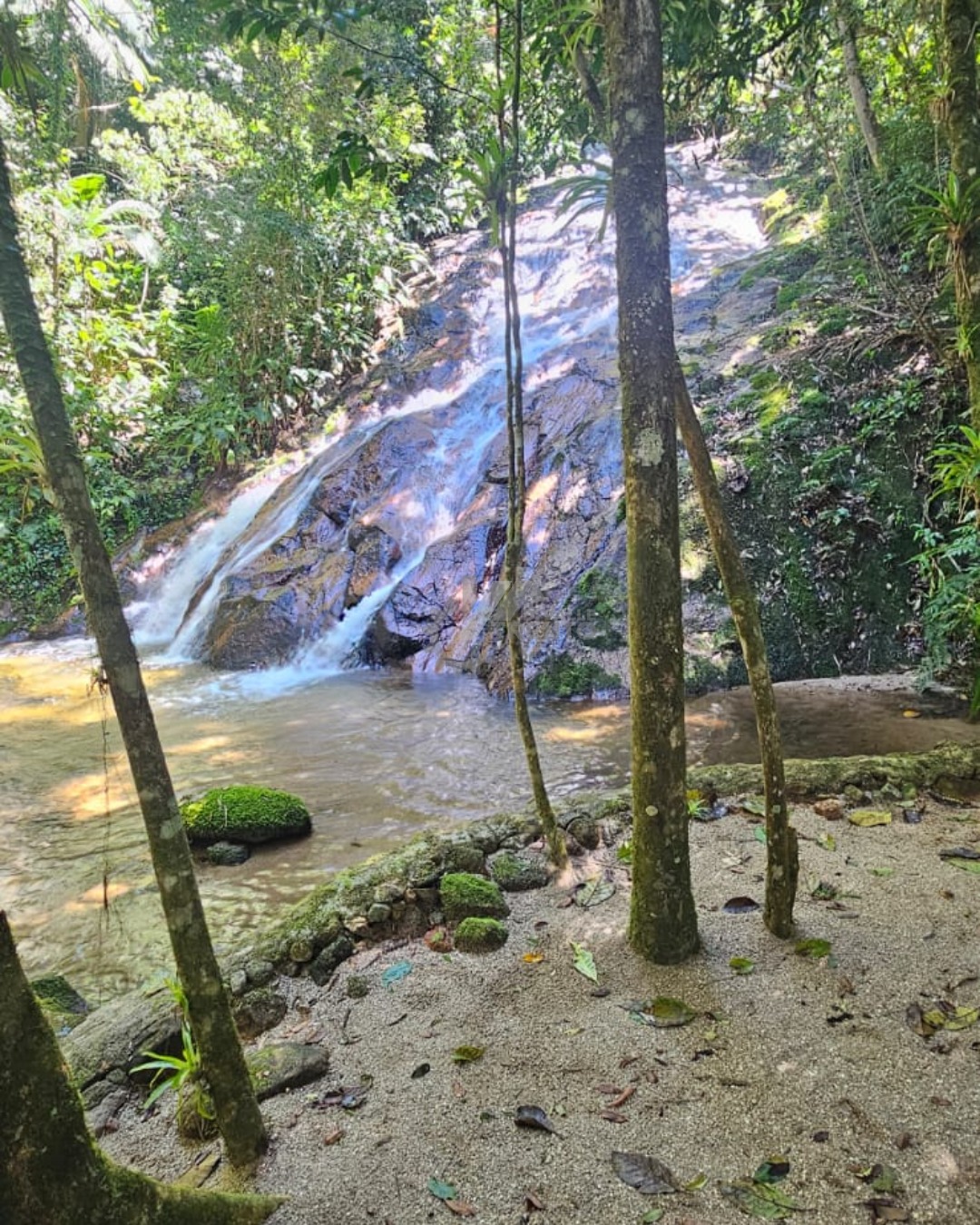 WhatsApp Image 2026-01-19 at 10.51.36 (2).jpeg