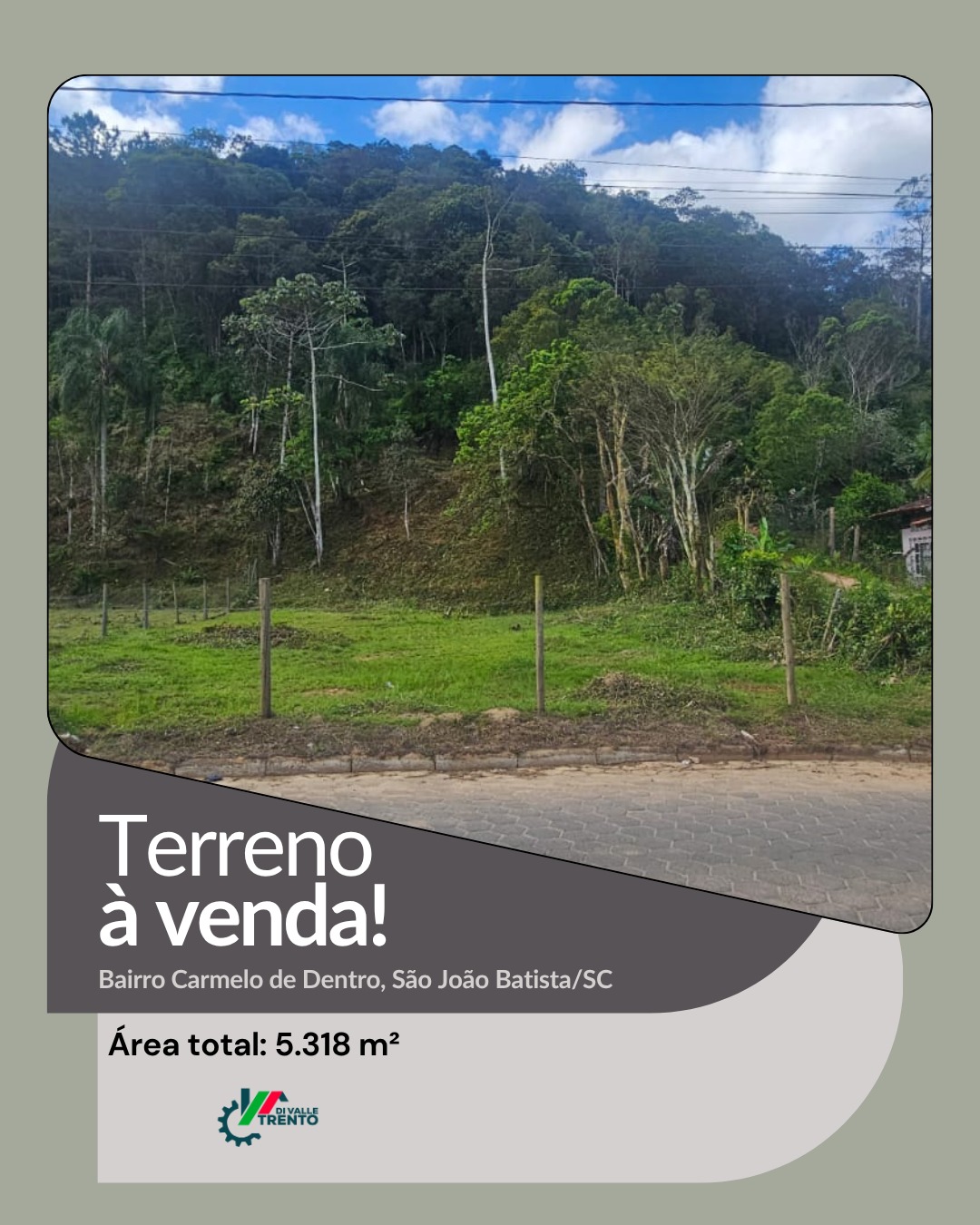 WhatsApp Image 2026-01-19 at 11.05.15.jpeg