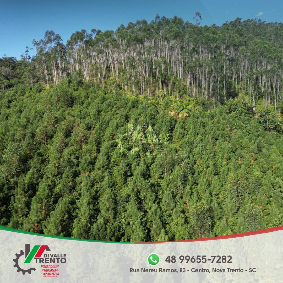 WhatsApp Image 2024-07-08 at 08.34.56 (1).jpeg