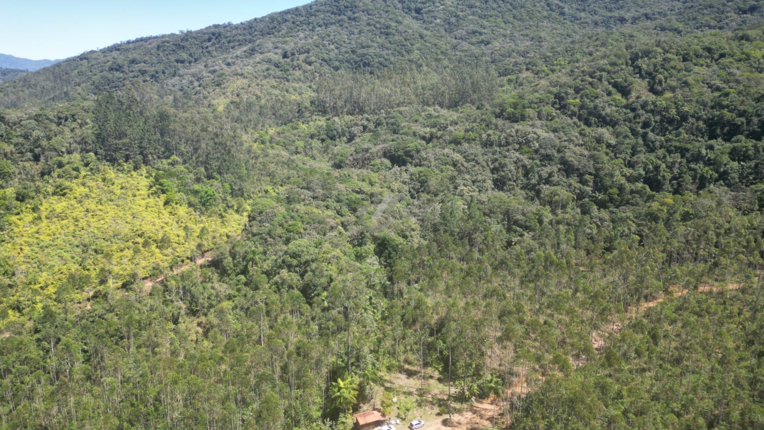 WhatsApp Image 2026-01-19 at 10.51.37 (4).jpeg